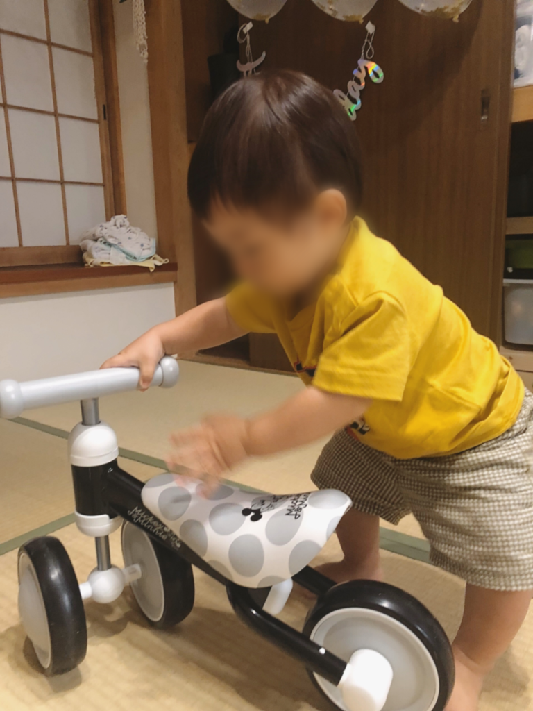 実録 1歳からの ディーバイクミニ 乗れるようになるまでの 成長時期別レビュー ゆるく楽しくママする